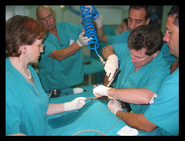 
                                      Los doctores J.F. Bardet y U. Matis, colaboradores científicos de la unidad de Traumatología y Ortopedia Veterinaria en quirófano durante la celebración del I Congreso Internacional de la SETOV (2006)
                            